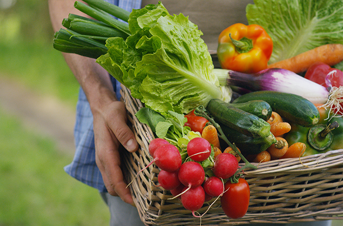 Portrait of a happy young farmer holding fresh vegetables in a basket