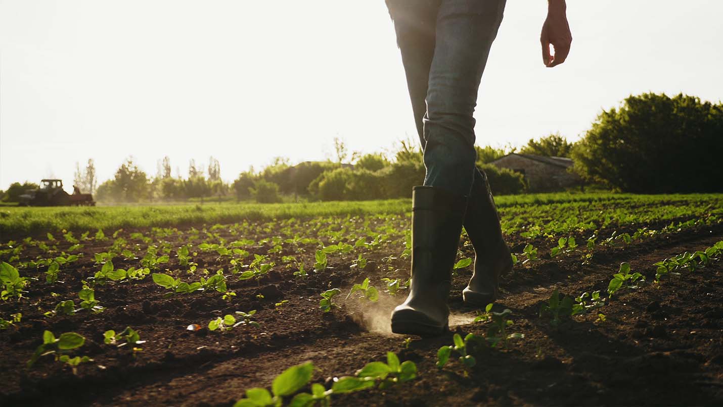 farmer walking across field